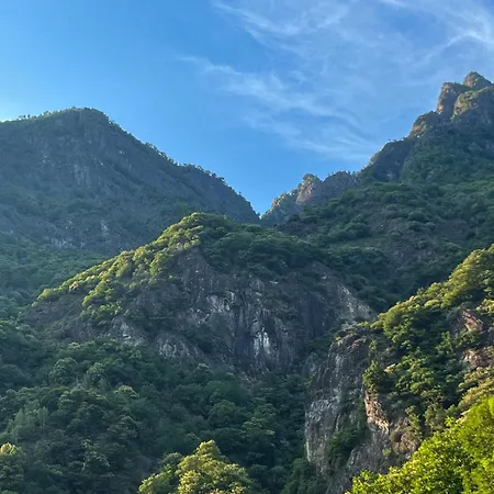 Falesia 메르고초
